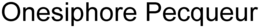 ONESIPHORE PECQUEUR trademark