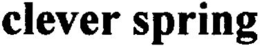 CLEVER SPRING trademark