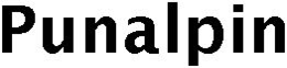 PUNALPIN trademark