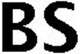 BS trademark