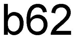 B62 trademark