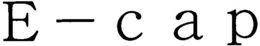 E-CAP trademark