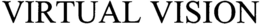 VIRTUAL VISION trademark