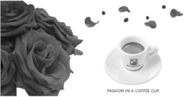 HAUSBRANDT PASSION IN A COFFEE CUP. trademark