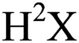 H²X trademark