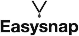 V EASYSNAP trademark