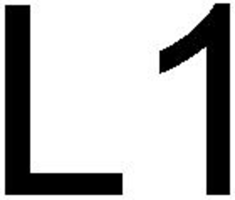 L1 trademark