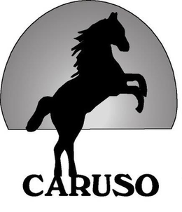 CARUSO trademark