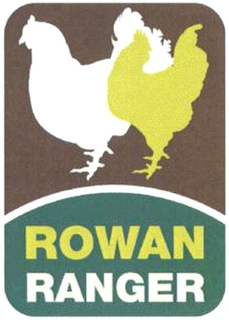 ROWAN RANGER trademark