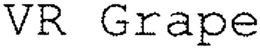 VR GRAPE trademark