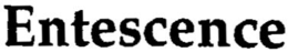 ENTESCENCE trademark