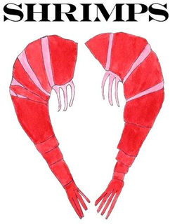SHRIMPS trademark