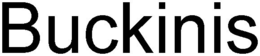 BUCKINIS trademark