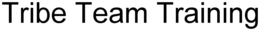 TRIBE TEAM TRAINING trademark