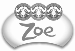 ZOE trademark