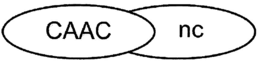 CAAC NC trademark