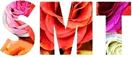SMT trademark