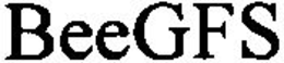 BEEGFS trademark