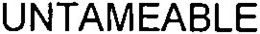 UNTAMEABLE trademark