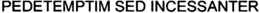 PEDETEMPTIM SED INCESSANTER trademark