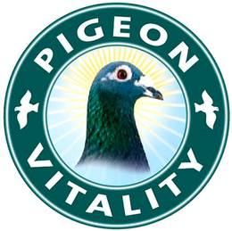 PIGEON VITALITY trademark