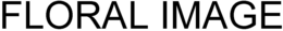 FLORAL IMAGE trademark