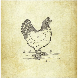 2341 trademark