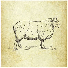 2 3 4 6 7 1 5 8 trademark