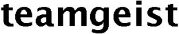 TEAMGEIST trademark
