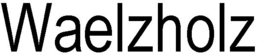 WAELZHOLZ trademark