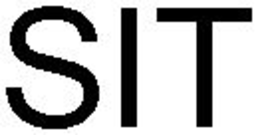 SIT trademark
