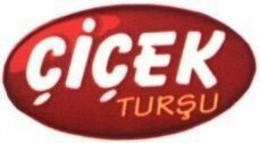 CICEK TURSU trademark