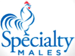 SPECIALTY MALES trademark