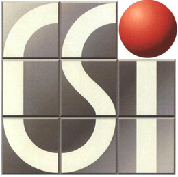 CSI trademark