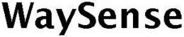 WAYSENSE trademark