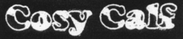 COSY CALF trademark