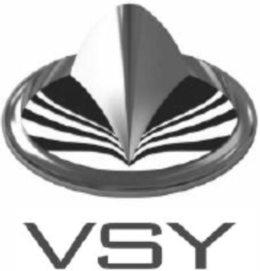 VSY trademark