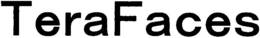 TERAFACES trademark