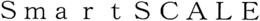 SMARTSCALE trademark