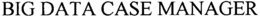 BIG DATA CASE MANAGER trademark