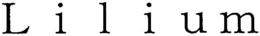 LILIUM trademark