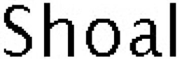 SHOAL trademark