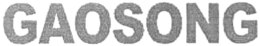GAOSONG trademark