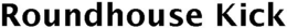 ROUNDHOUSE KICK trademark