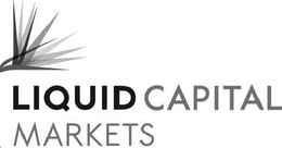 LIQUID CAPITAL MARKETS trademark