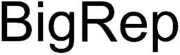 BIGREP trademark