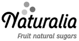 NATURALIA FRUIT NATURAL SUGARS trademark