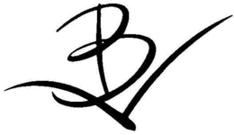 VB trademark