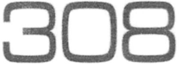 308 trademark