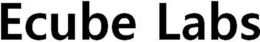 ECUBE LABS trademark